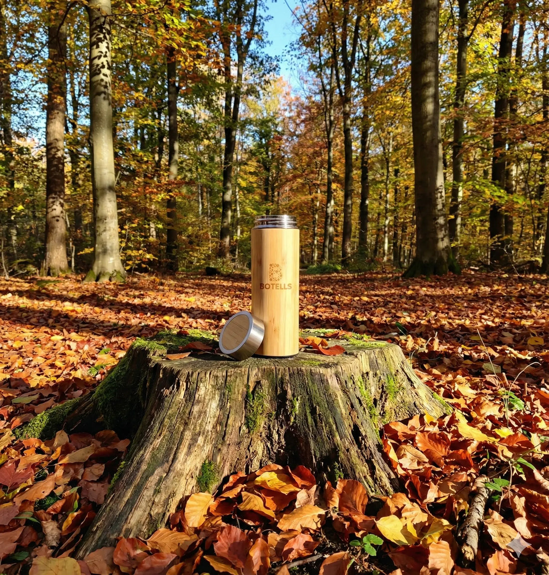Weshalb eine nachhaltige Trinkflasche? Botells